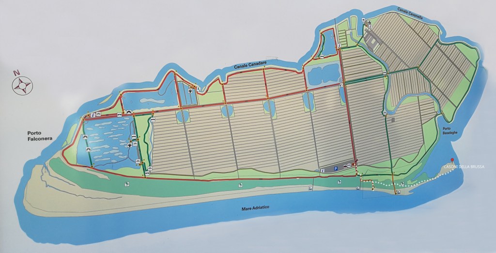 Questa immagine ha l'attributo alt vuoto; il nome del file è img_20201122_110442.jpg