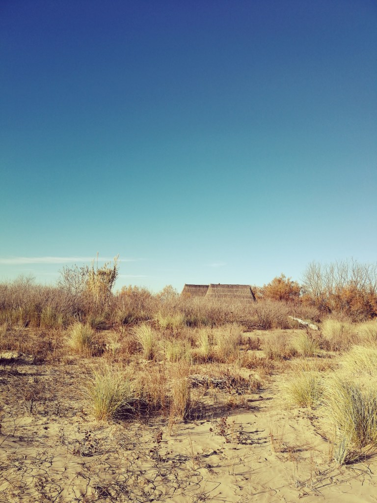 Questa immagine ha l'attributo alt vuoto; il nome del file è img_20201122_143743.jpg