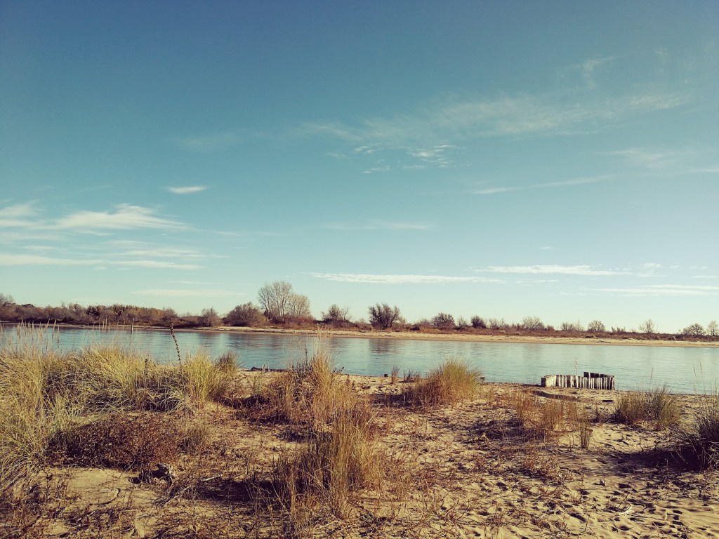 Questa immagine ha l'attributo alt vuoto; il nome del file è img_20201122_143806-1.jpg